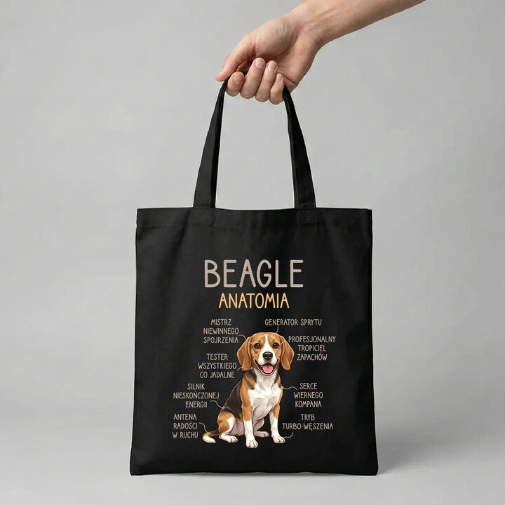 Beagle - anatomia - torba na prezent