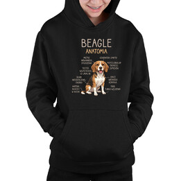 Beagle - anatomia - dziecięca bluza na prezent
