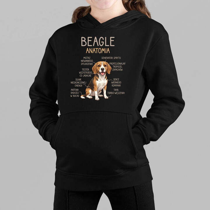 Beagle - anatomia - dziecięca bluza na prezent