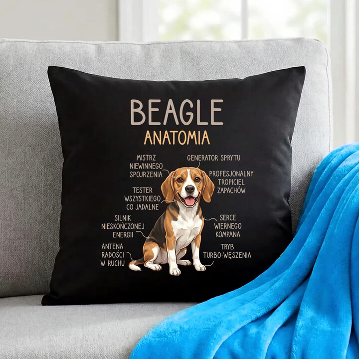 Beagle - anatomia - czarna poduszka na prezent
