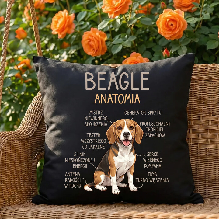 Beagle - anatomia - czarna poduszka na prezent