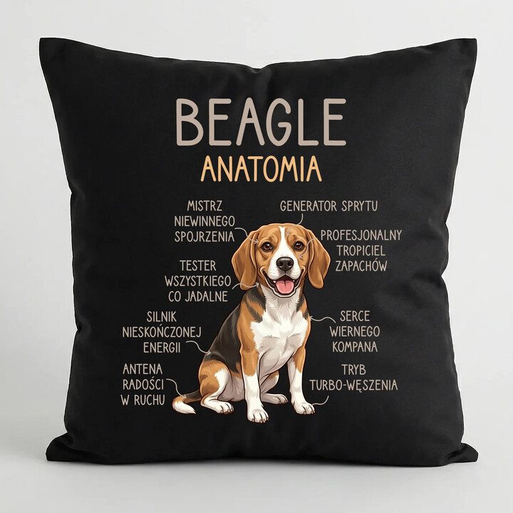 Beagle - anatomia - czarna poduszka na prezent