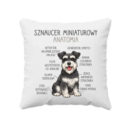 Sznaucer Miniaturowy - anatomia - poduszka na prezent