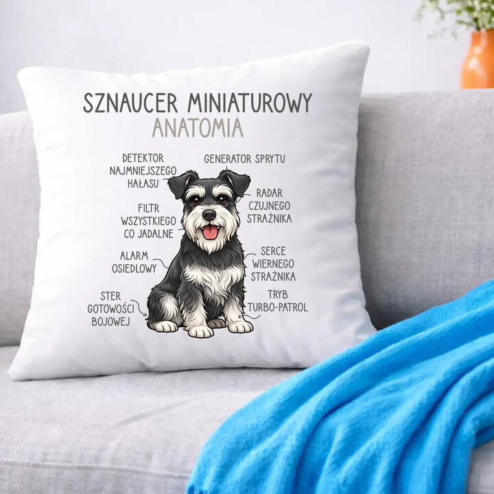 Sznaucer Miniaturowy - anatomia - poduszka na prezent