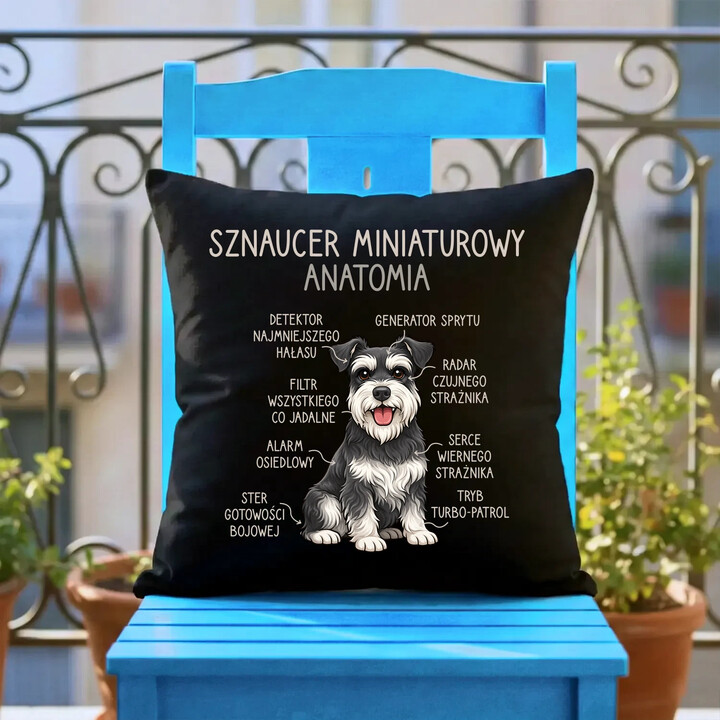 Sznaucer Miniaturowy - anatomia - czarna poduszka na prezent