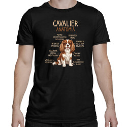 Cavalier – anatomia - męska koszulka na prezent