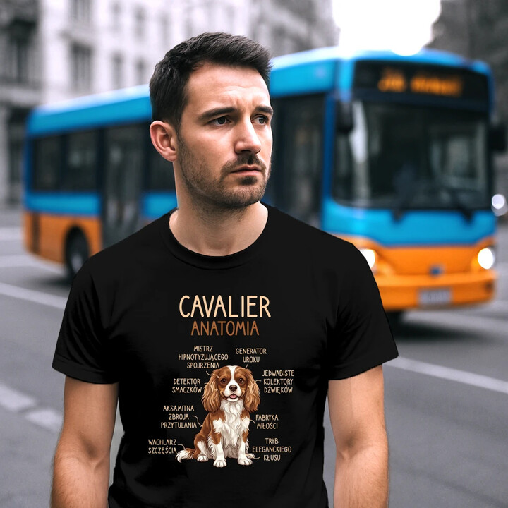 Cavalier - anatomia - męska koszulka na prezent