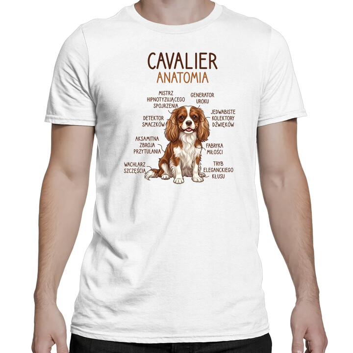 Cavalier - anatomia - męska koszulka na prezent
