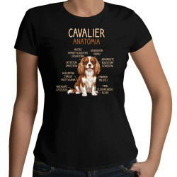 Cavalier – anatomia - damska koszulka na prezent