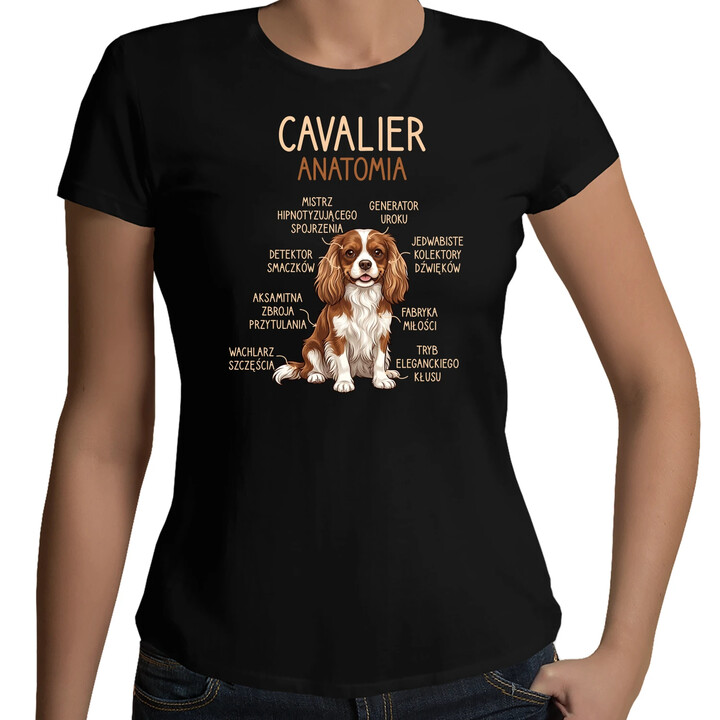 Cavalier - anatomia - damska koszulka na prezent
