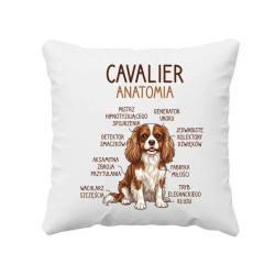 Cavalier – anatomia - poduszka na prezent