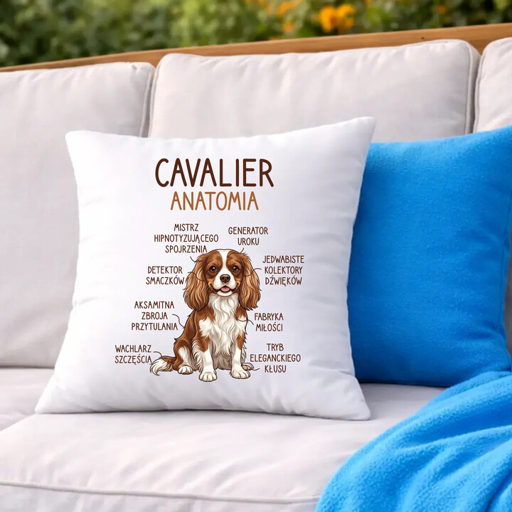 Cavalier - anatomia - poduszka na prezent