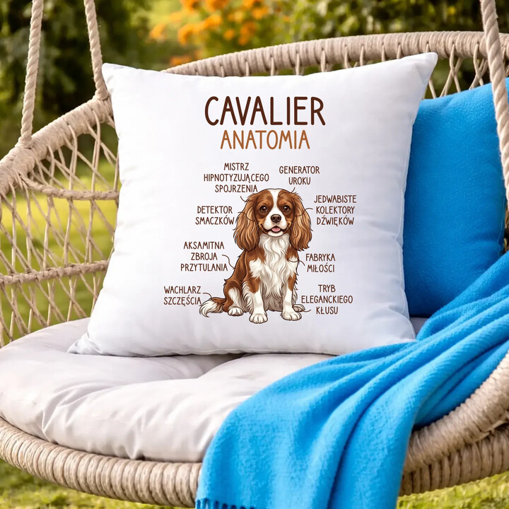Cavalier - anatomia - poduszka na prezent