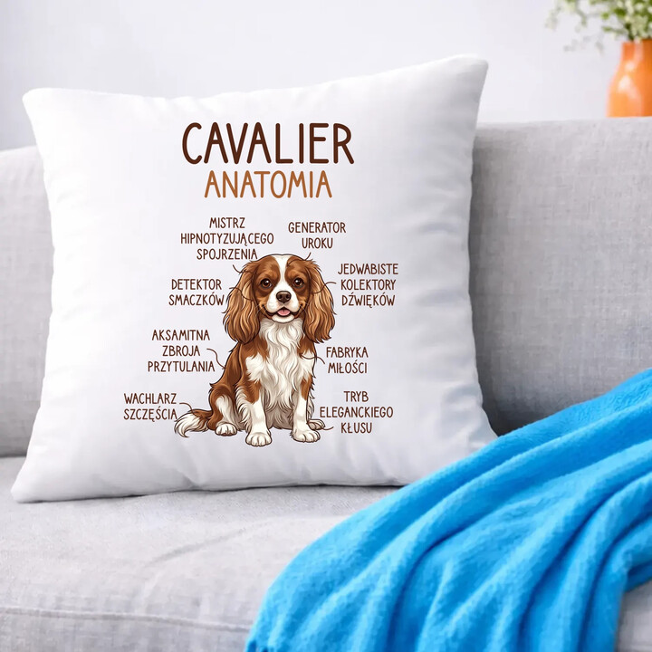Cavalier - anatomia - poduszka na prezent
