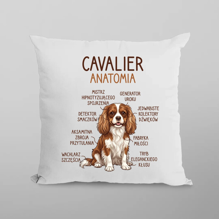 Cavalier - anatomia - poduszka na prezent