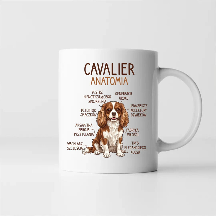 Cavalier - anatomia - kubek na prezent