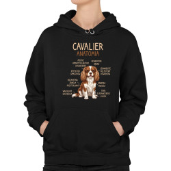 Cavalier – anatomia - damska bluza na prezent