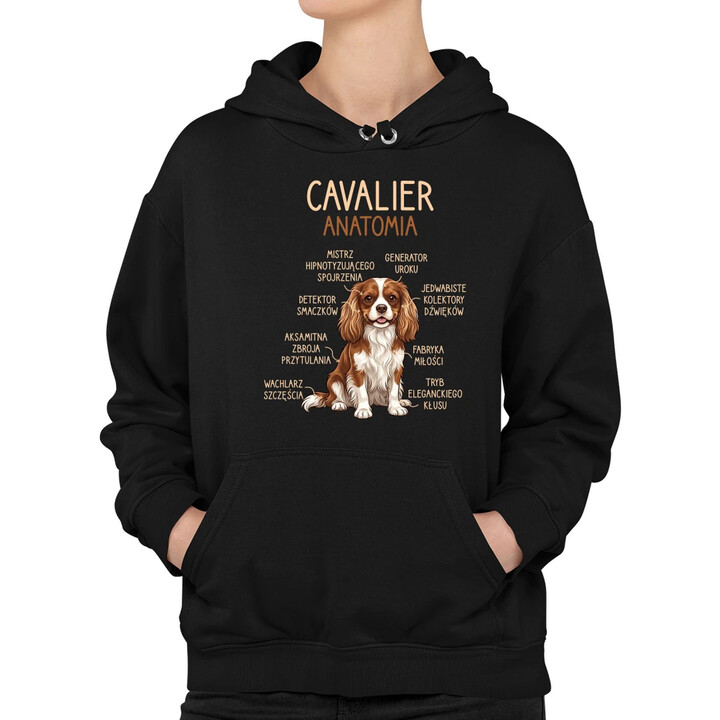 Cavalier - anatomia - damska bluza na prezent