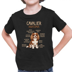 Cavalier – anatomia - dziecięca koszulka na prezent