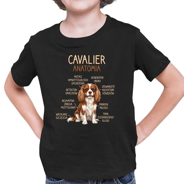 Cavalier - anatomia - dziecięca koszulka na prezent