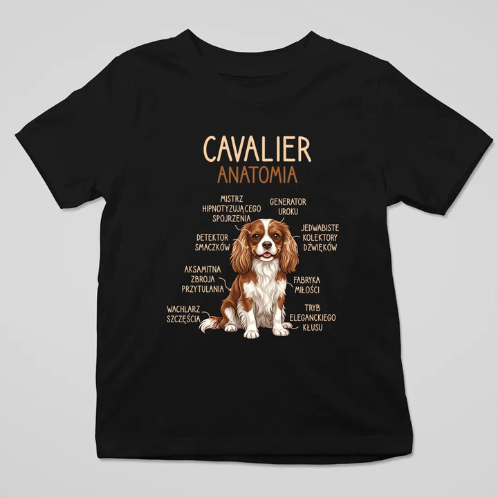 Cavalier - anatomia - dziecięca koszulka na prezent