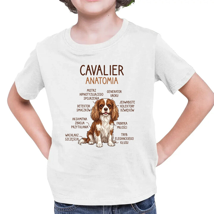 Cavalier - anatomia - dziecięca koszulka na prezent