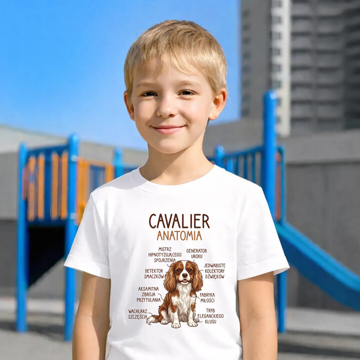 Cavalier - anatomia - dziecięca koszulka na prezent
