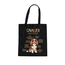Cavalier – anatomia - torba na prezent