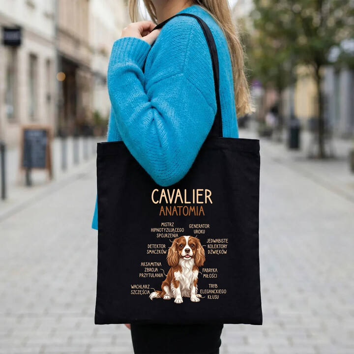 Cavalier - anatomia - torba na prezent