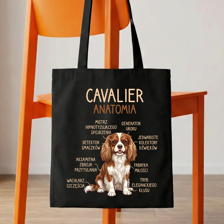 Cavalier - anatomia - torba na prezent