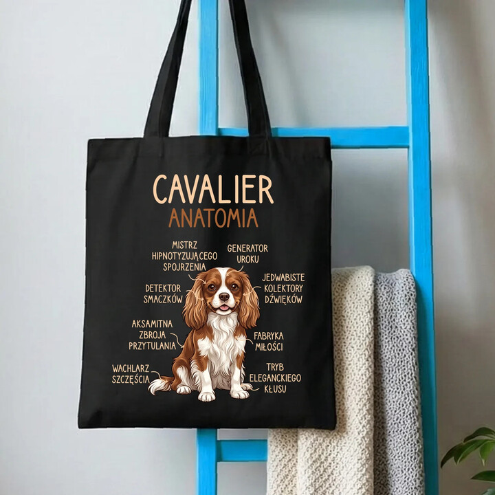 Cavalier - anatomia - torba na prezent