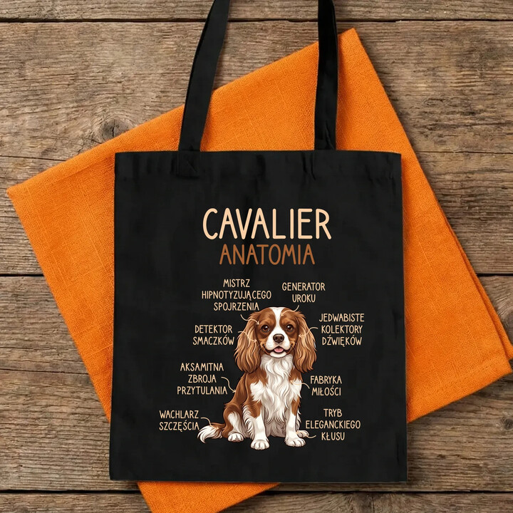 Cavalier - anatomia - torba na prezent