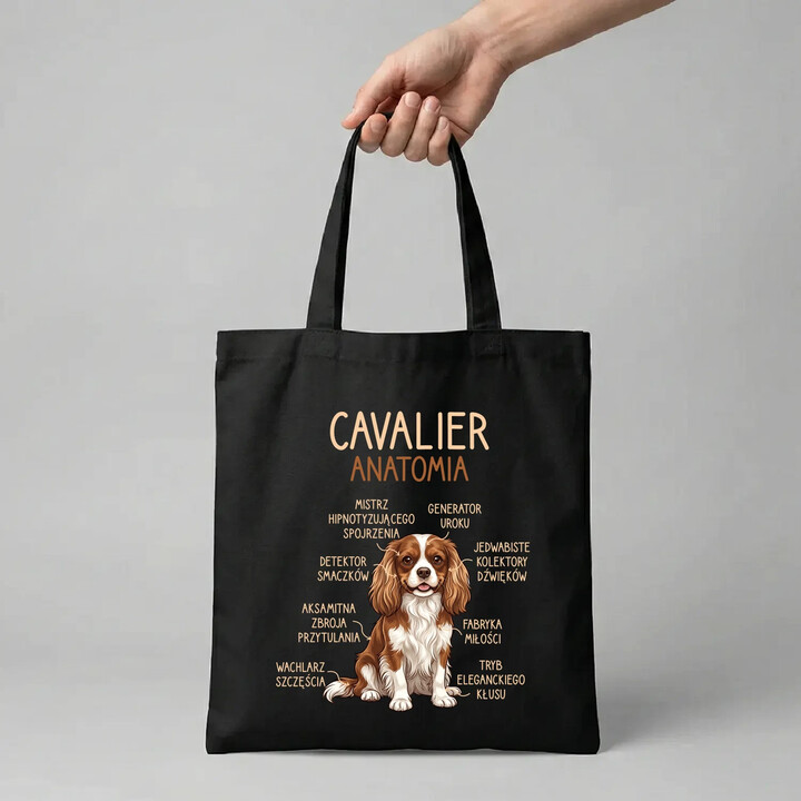 Cavalier - anatomia - torba na prezent