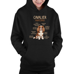 Cavalier – anatomia - dziecięca bluza na prezent