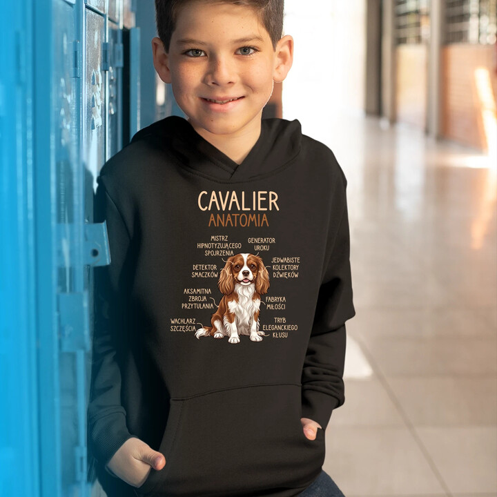 Cavalier - anatomia - dziecięca bluza na prezent