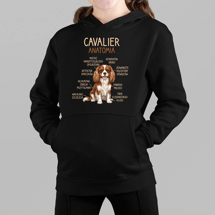 Cavalier - anatomia - dziecięca bluza na prezent