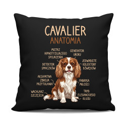 Cavalier – anatomia - czarna poduszka na prezent