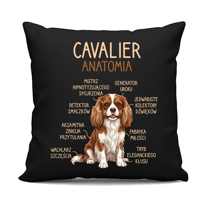 Cavalier - anatomia - czarna poduszka na prezent