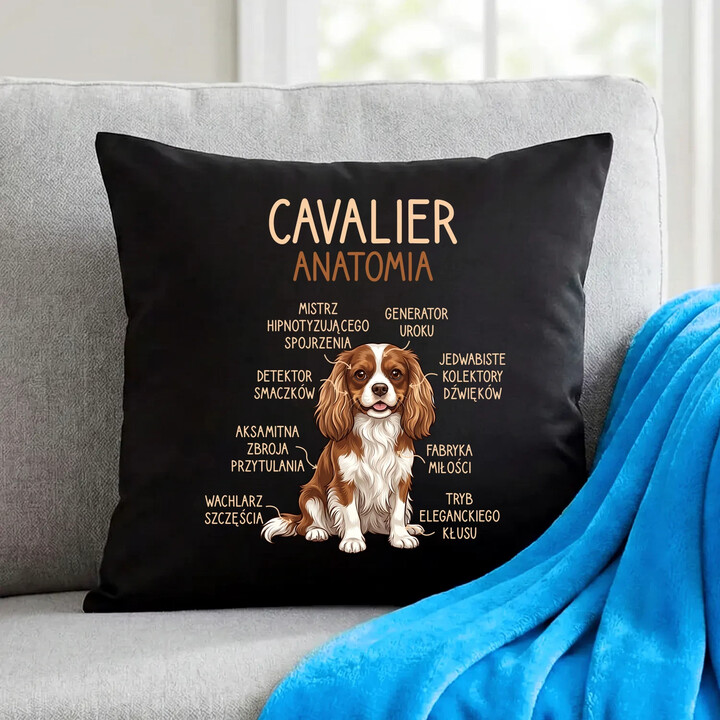 Cavalier - anatomia - czarna poduszka na prezent