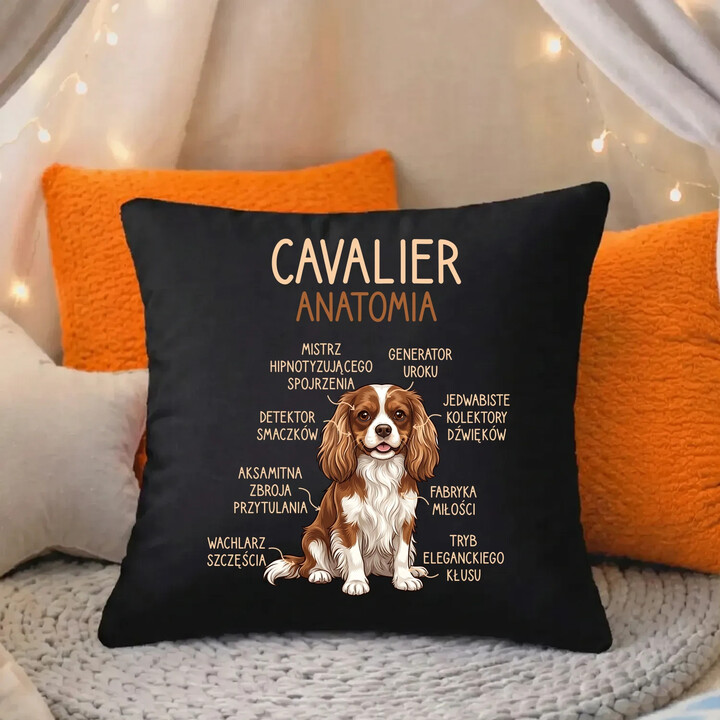 Cavalier - anatomia - czarna poduszka na prezent