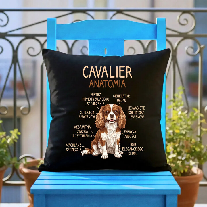 Cavalier - anatomia - czarna poduszka na prezent