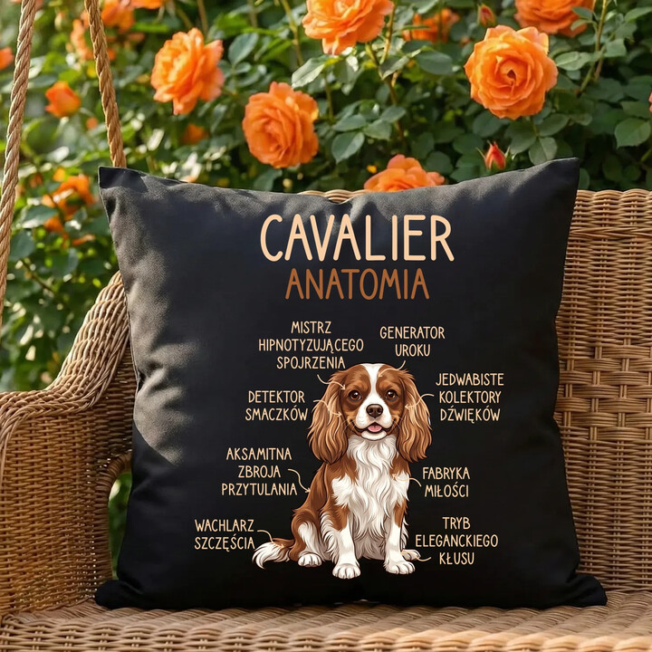 Cavalier - anatomia - czarna poduszka na prezent