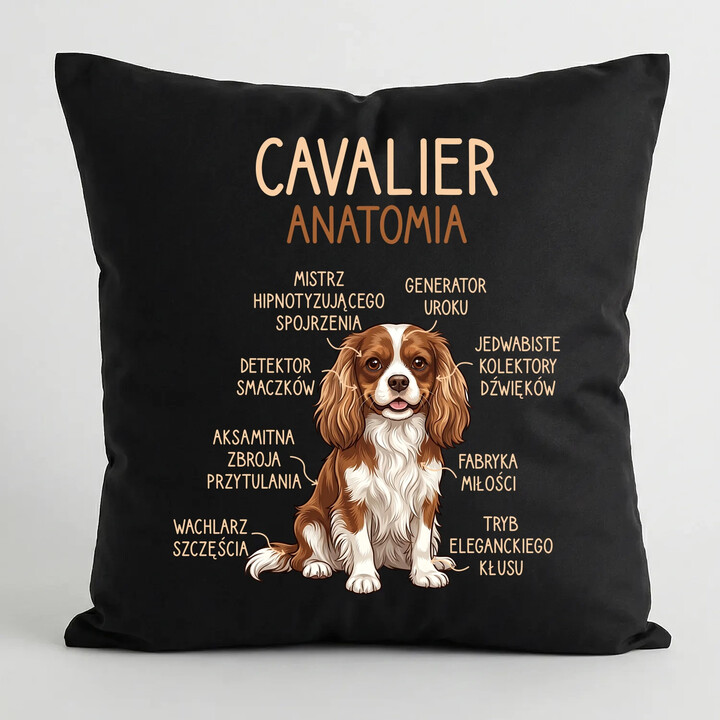 Cavalier - anatomia - czarna poduszka na prezent