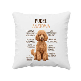 Pudel - anatomia - poduszka na prezent
