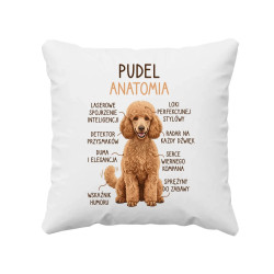 Pudel - anatomia - poduszka na prezent