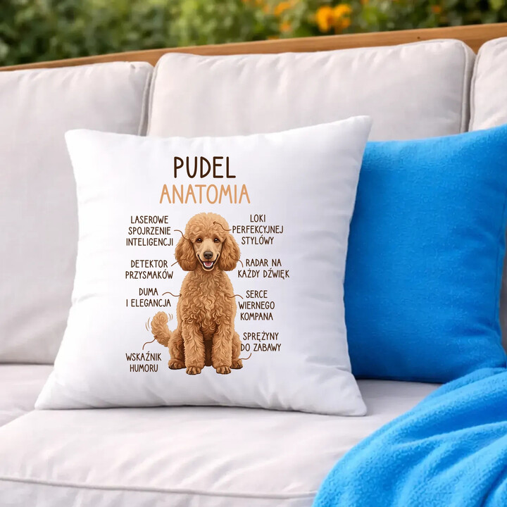 Pudel - anatomia - poduszka na prezent