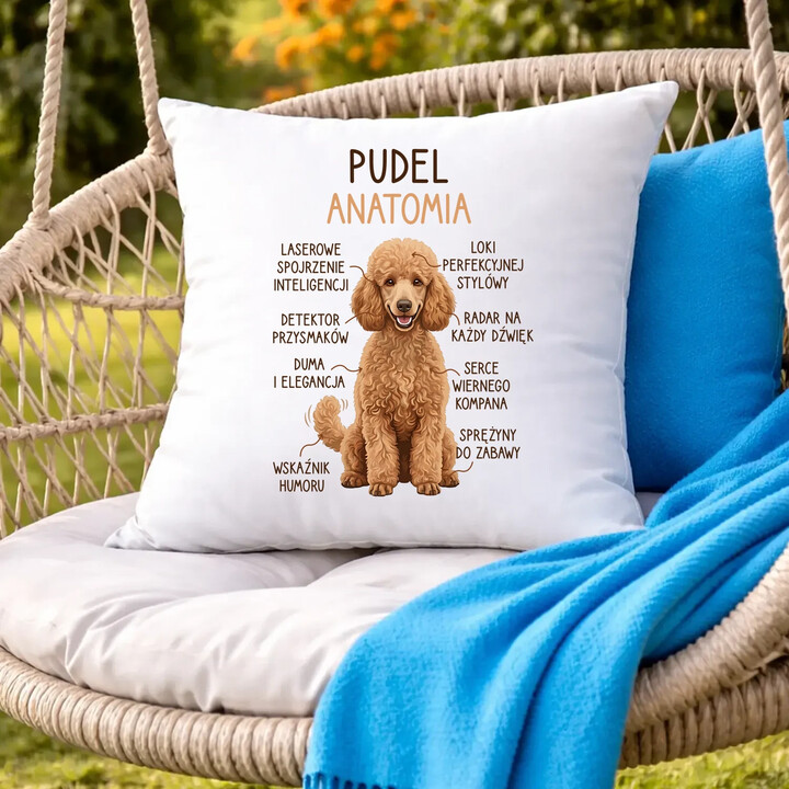 Pudel - anatomia - poduszka na prezent