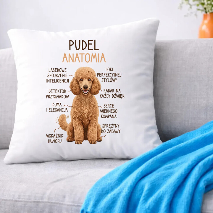 Pudel - anatomia - poduszka na prezent