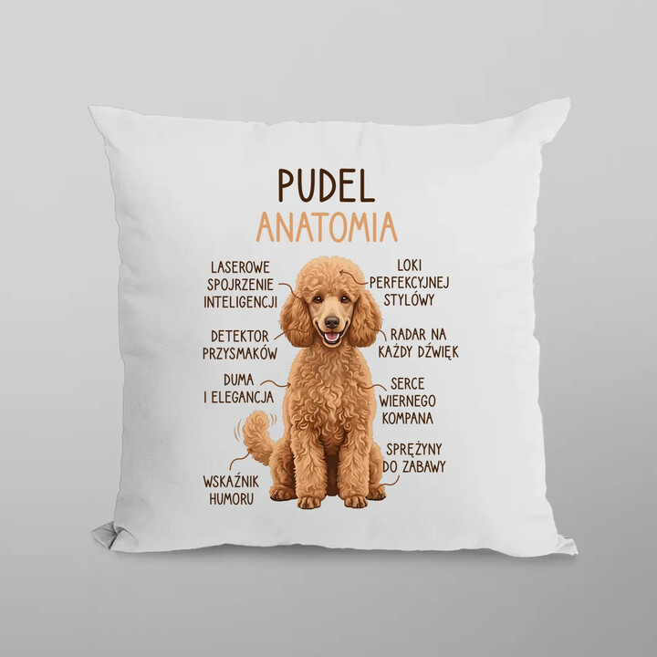 Pudel - anatomia - poduszka na prezent