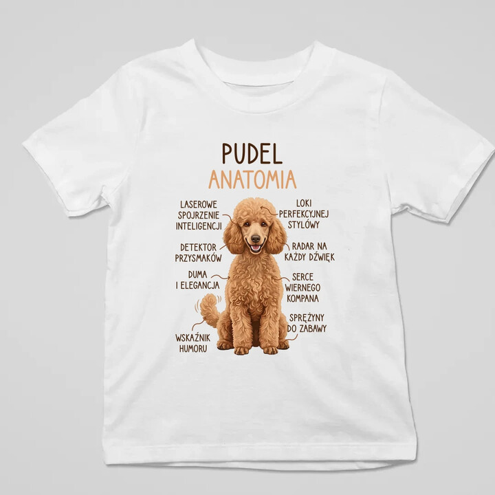 Pudel - anatomia - dziecięca koszulka na prezent
